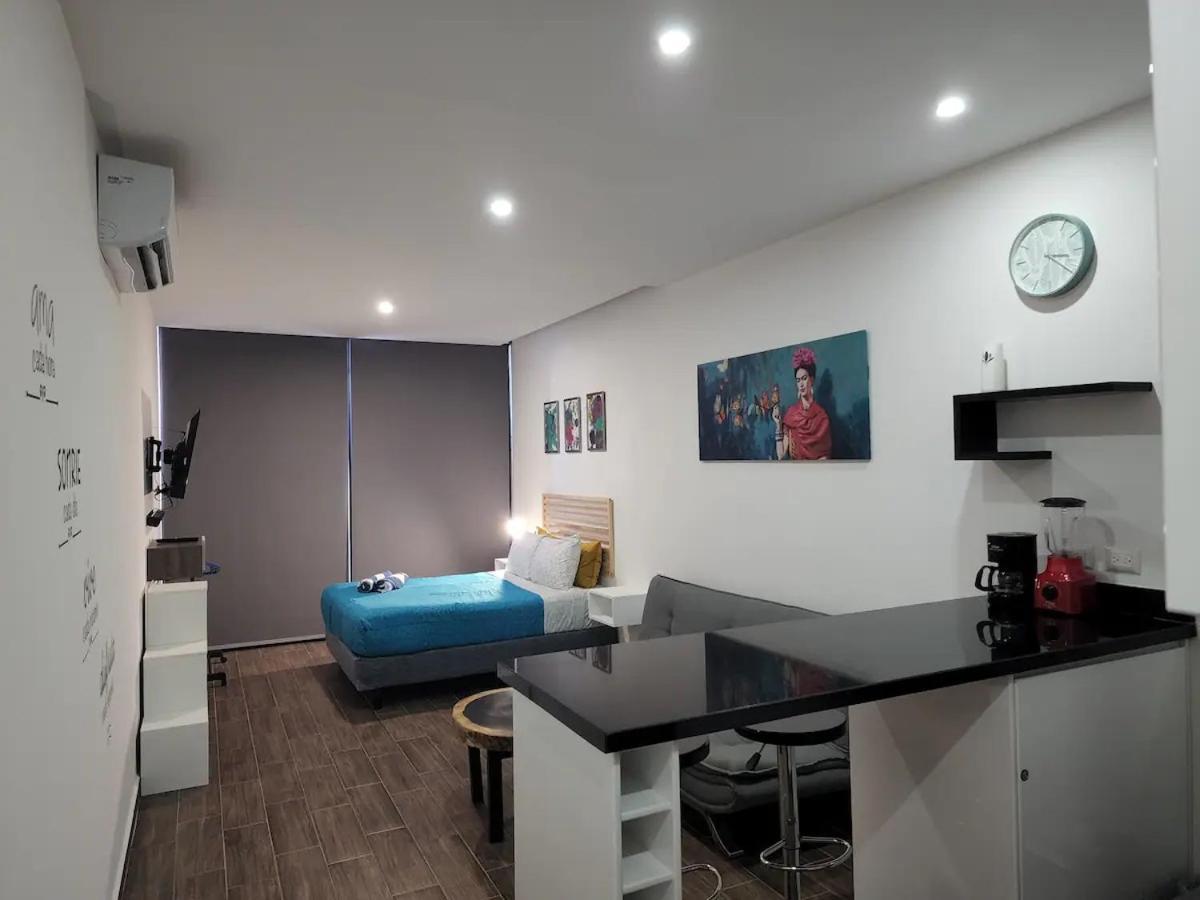 Estudio En Vanessa 24,